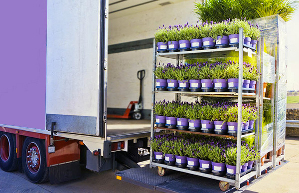 Картинка по доставке растений в рефах