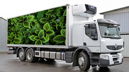 фото реф перевозок