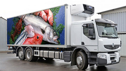 картинка по перевозке замороженной рыбы в рефрижераторах